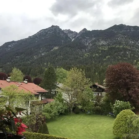 Aurikel *