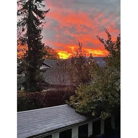 Aurikel Гармиш-Партенкирхен