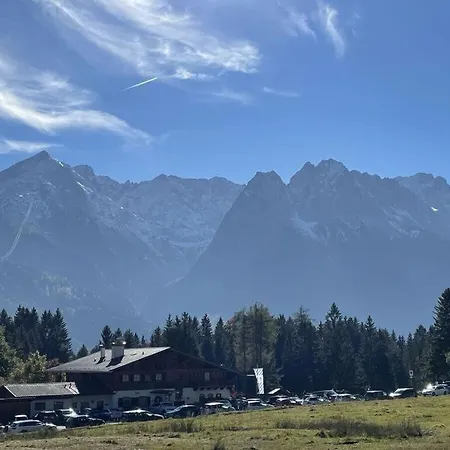 Aurikel *