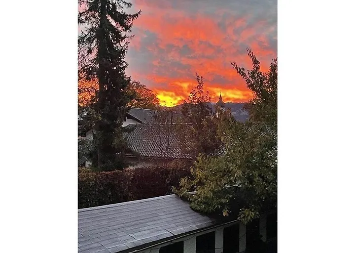 Aurikel Garmisch-Partenkirchen