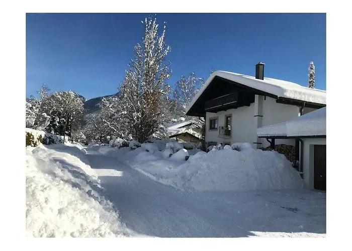 Aurikel * Garmisch-Partenkirchen