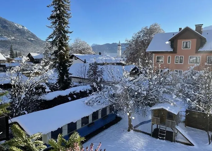 Aurikel Garmisch-Partenkirchen